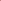 Pink Parrot